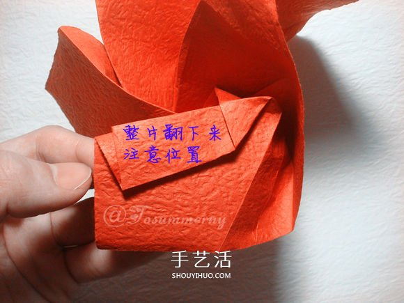 詳細歐美玫瑰的折法圖解 PT玫瑰怎么折步驟圖 -  rpnrmr.com