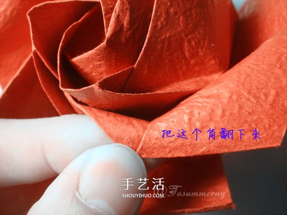 詳細歐美玫瑰的折法圖解 PT玫瑰怎么折步驟圖 -  rpnrmr.com