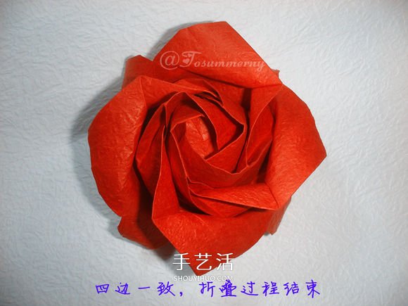 詳細歐美玫瑰的折法圖解 PT玫瑰怎么折步驟圖 -  rpnrmr.com