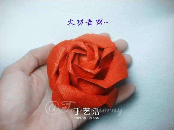 詳細歐美玫瑰的折法圖解 PT玫瑰怎么折步驟圖 -  rpnrmr.com