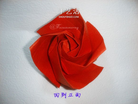 詳細歐美玫瑰的折法圖解 PT玫瑰怎么折步驟圖 -  rpnrmr.com