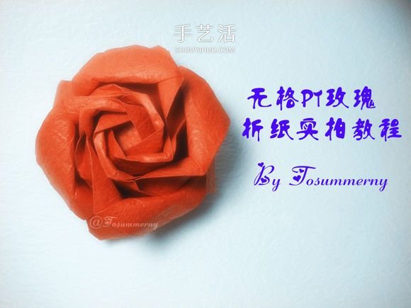 詳細歐美玫瑰的折法圖解 PT玫瑰怎么折步驟圖 -  rpnrmr.com