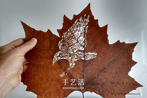 想嘗試換行業(yè)么？38歲拳擊冠軍的葉子雕刻 -  rpnrmr.com