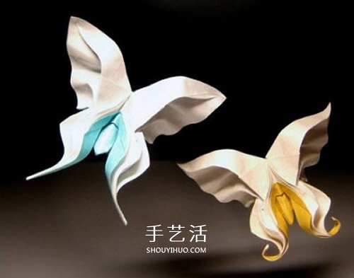 HTQ蝴蝶基本型的折紙方法 木有整形的步驟！ -  rpnrmr.com