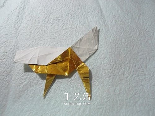 HTQ蝴蝶基本型的折紙方法 木有整形的步驟！ -  rpnrmr.com