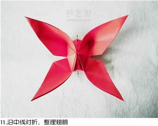 體型最大的蝴蝶 美麗鳳尾蝶的折紙方法圖解 -  rpnrmr.com