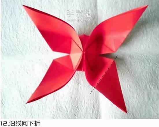 體型最大的蝴蝶 美麗鳳尾蝶的折紙方法圖解 -  rpnrmr.com