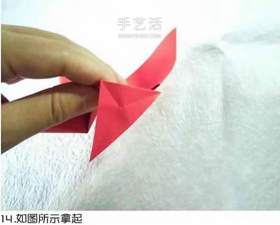 體型最大的蝴蝶 美麗鳳尾蝶的折紙方法圖解 -  rpnrmr.com