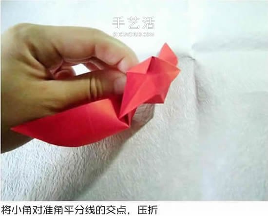 體型最大的蝴蝶 美麗鳳尾蝶的折紙方法圖解 -  rpnrmr.com