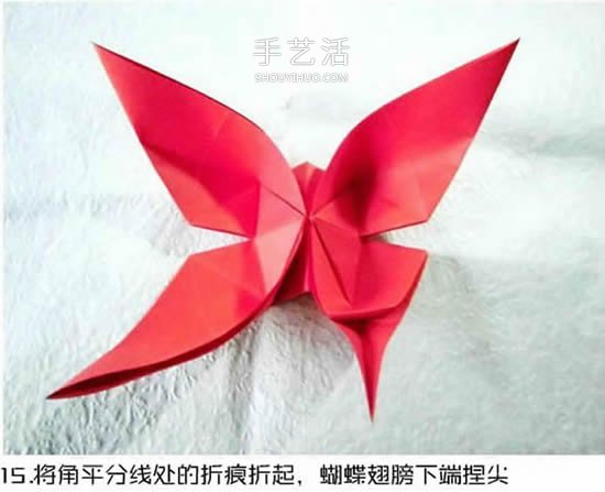 體型最大的蝴蝶 美麗鳳尾蝶的折紙方法圖解 -  rpnrmr.com