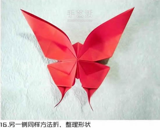 體型最大的蝴蝶 美麗鳳尾蝶的折紙方法圖解 -  rpnrmr.com