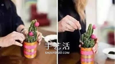 自制小盆栽的方法圖解 簡單鐵罐子廢物利用 -  rpnrmr.com