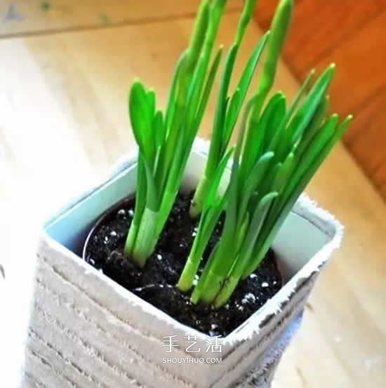 牛奶盒廢物利用 手工制作簡易花盆的方法圖解 -  rpnrmr.com