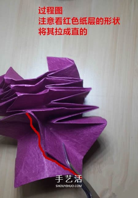 25瓣玫瑰的折法圖解 羅伯特?朗的玫瑰花折紙 -  rpnrmr.com