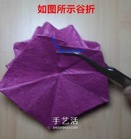 25瓣玫瑰的折法圖解 羅伯特?朗的玫瑰花折紙 -  rpnrmr.com