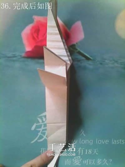 超多步驟折紙教程！漂亮海馬的折紙方法圖解 -  rpnrmr.com