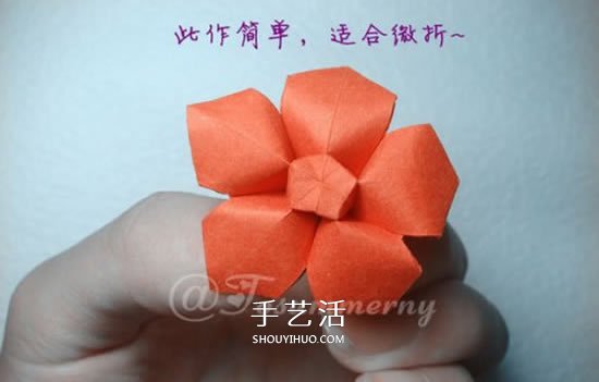 手工五星花的折法圖解 還可以做成花型收納盒 -  rpnrmr.com