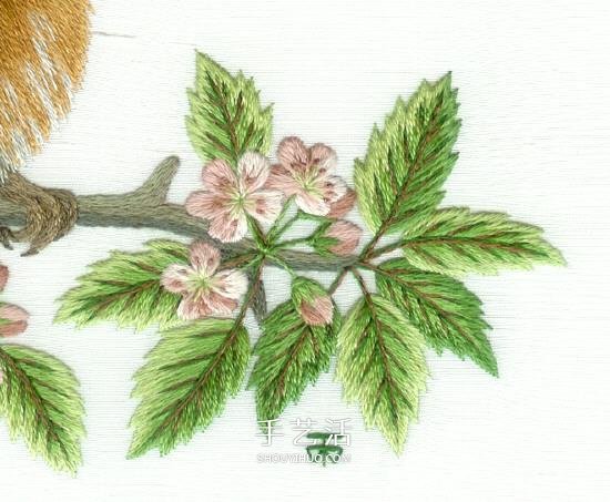 傳統(tǒng)花鳥刺繡的繡法圖解 漂亮小鳥繡法步驟圖 -  rpnrmr.com