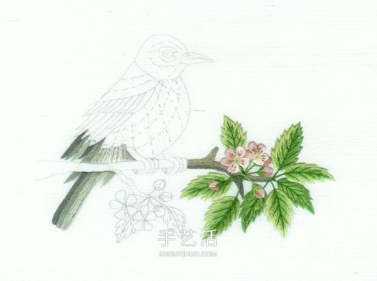 傳統(tǒng)花鳥刺繡的繡法圖解 漂亮小鳥繡法步驟圖 -  rpnrmr.com
