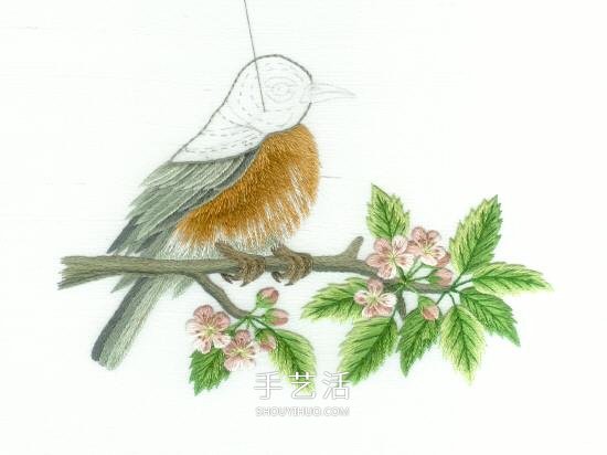 傳統(tǒng)花鳥刺繡的繡法圖解 漂亮小鳥繡法步驟圖 -  rpnrmr.com