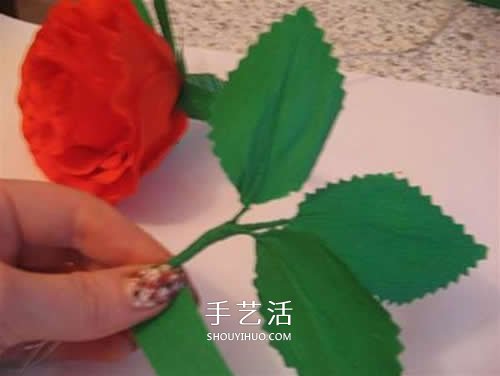 皺紋紙做花：漂亮紙玫瑰花的制作方法圖解 -  rpnrmr.com