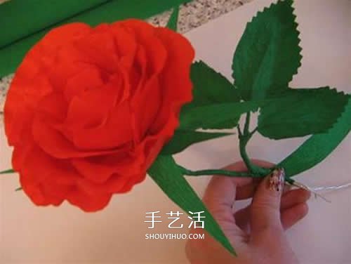 皺紋紙做花：漂亮紙玫瑰花的制作方法圖解 -  rpnrmr.com