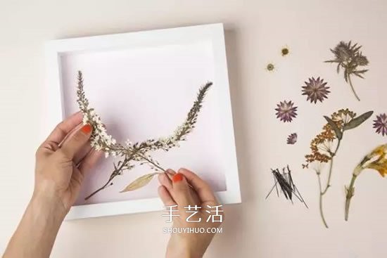 用押花留住春天的美！干花做法及押花裝飾畫DIY -  rpnrmr.com