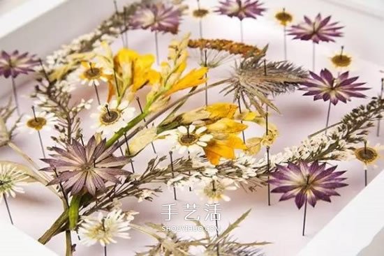用押花留住春天的美！干花做法及押花裝飾畫DIY -  rpnrmr.com