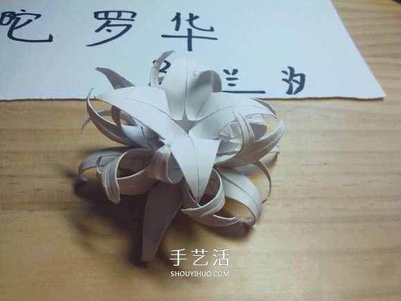 曼陀羅華的折法圖解 手工怎么折白色彼岸花 -  rpnrmr.com
