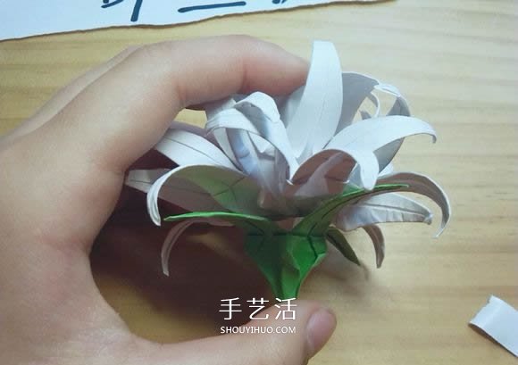 曼陀羅華的折法圖解 手工怎么折白色彼岸花 -  rpnrmr.com