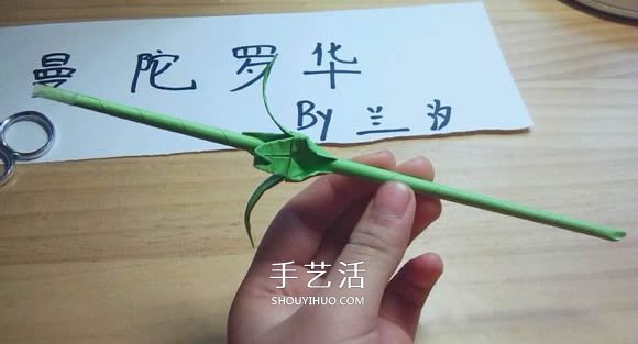 曼陀羅華的折法圖解 手工怎么折白色彼岸花 -  rpnrmr.com
