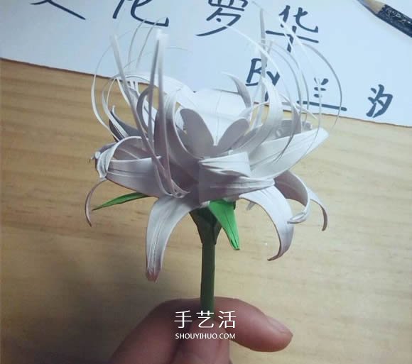 曼陀羅華的折法圖解 手工怎么折白色彼岸花 -  rpnrmr.com