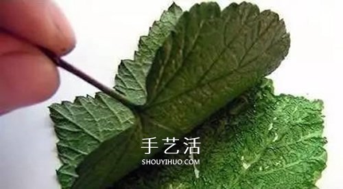 用樹葉作為道具 畫一幅讓自己驚艷的樹葉畫 -  rpnrmr.com