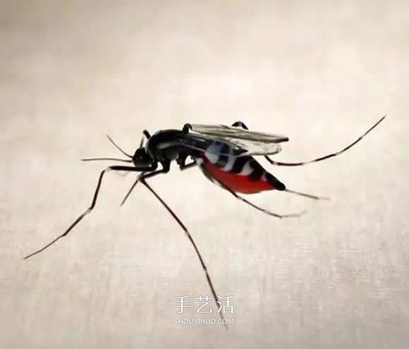 逼真到極致的昆蟲玻璃雕塑 按照一比一還原！ -  rpnrmr.com