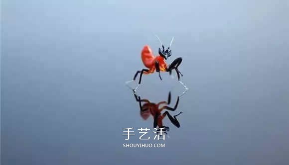 逼真到極致的昆蟲玻璃雕塑 按照一比一還原！ -  rpnrmr.com