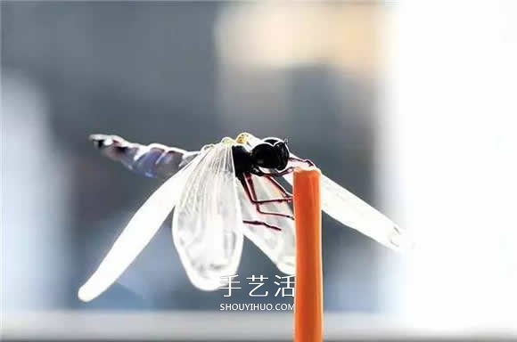 逼真到極致的昆蟲玻璃雕塑 按照一比一還原！ -  rpnrmr.com