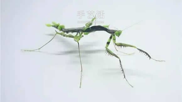 逼真到極致的昆蟲玻璃雕塑 按照一比一還原！ -  rpnrmr.com