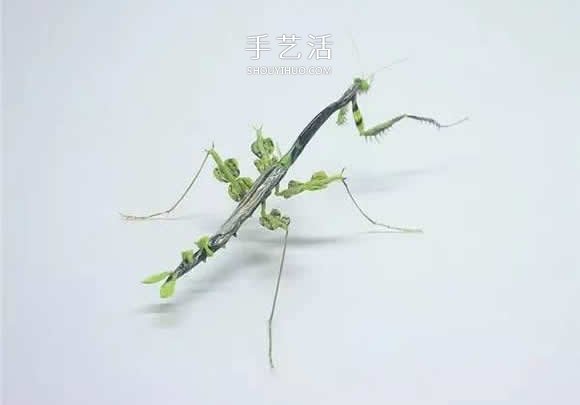 逼真到極致的昆蟲玻璃雕塑 按照一比一還原！ -  rpnrmr.com