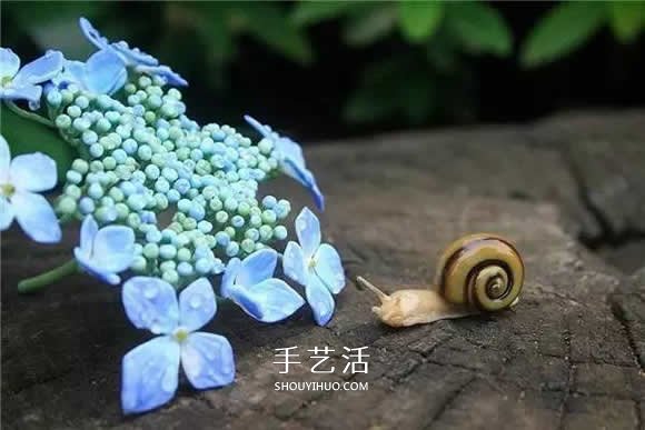 逼真到極致的昆蟲玻璃雕塑 按照一比一還原！ -  rpnrmr.com