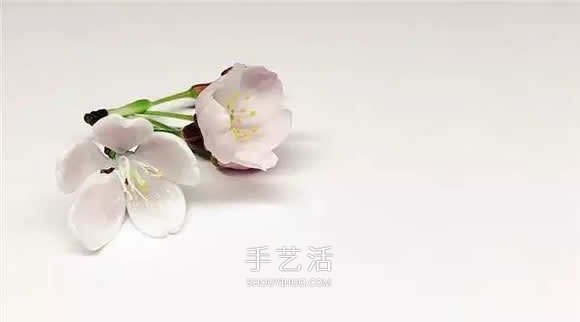 逼真到極致的昆蟲玻璃雕塑 按照一比一還原！ -  rpnrmr.com