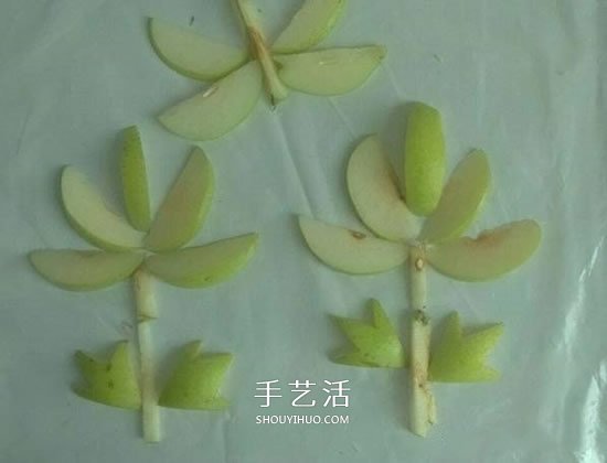 簡單梨子手工 幼兒用水果拼畫花朵的方法 -  rpnrmr.com