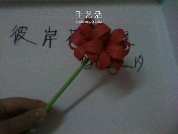 彼岸花的折法步驟圖解 詳細(xì)折紙彼岸花的過程 -  rpnrmr.com