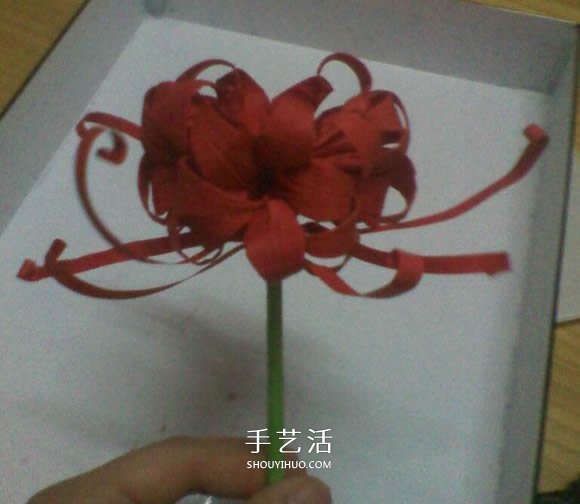 彼岸花的折法步驟圖解 詳細(xì)折紙彼岸花的過程 -  rpnrmr.com
