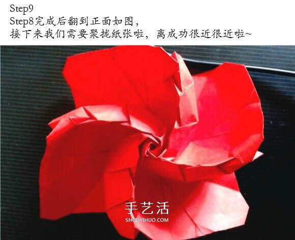 用CP圖折紙酒杯玫瑰 酒杯玫瑰的折法實拍教程 -  rpnrmr.com