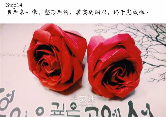 用CP圖折紙酒杯玫瑰 酒杯玫瑰的折法實拍教程 -  rpnrmr.com
