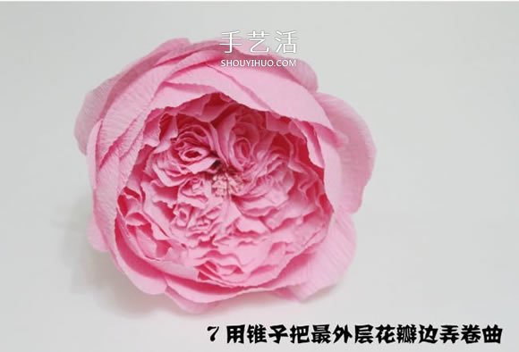 大衛(wèi)奧斯汀玫瑰做法 美麗到極致的皺紋紙玫瑰 -  rpnrmr.com