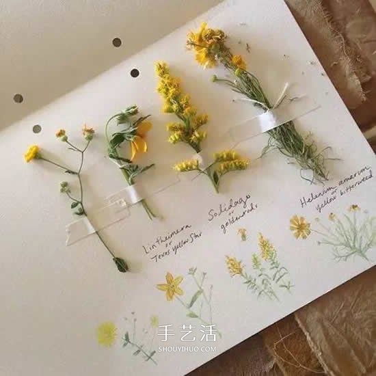 干花的四種制作方法 手工DIY絕美禮物飾品 -  rpnrmr.com