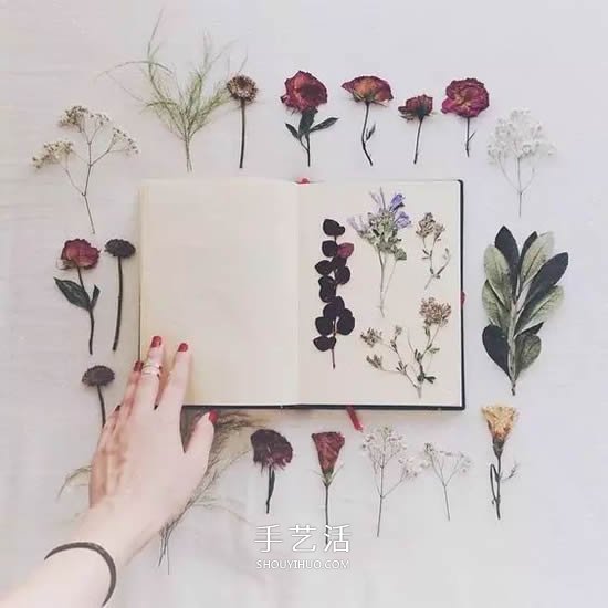 干花的四種制作方法 手工DIY絕美禮物飾品 -  rpnrmr.com