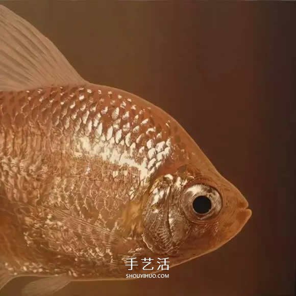 真沒糊弄你！韓國畫家一筆一筆畫的超寫實(shí)畫 -  rpnrmr.com