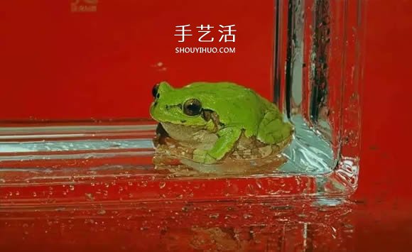 真沒糊弄你！韓國畫家一筆一筆畫的超寫實(shí)畫 -  rpnrmr.com
